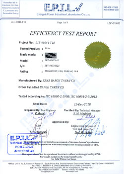Efficiency Test Report